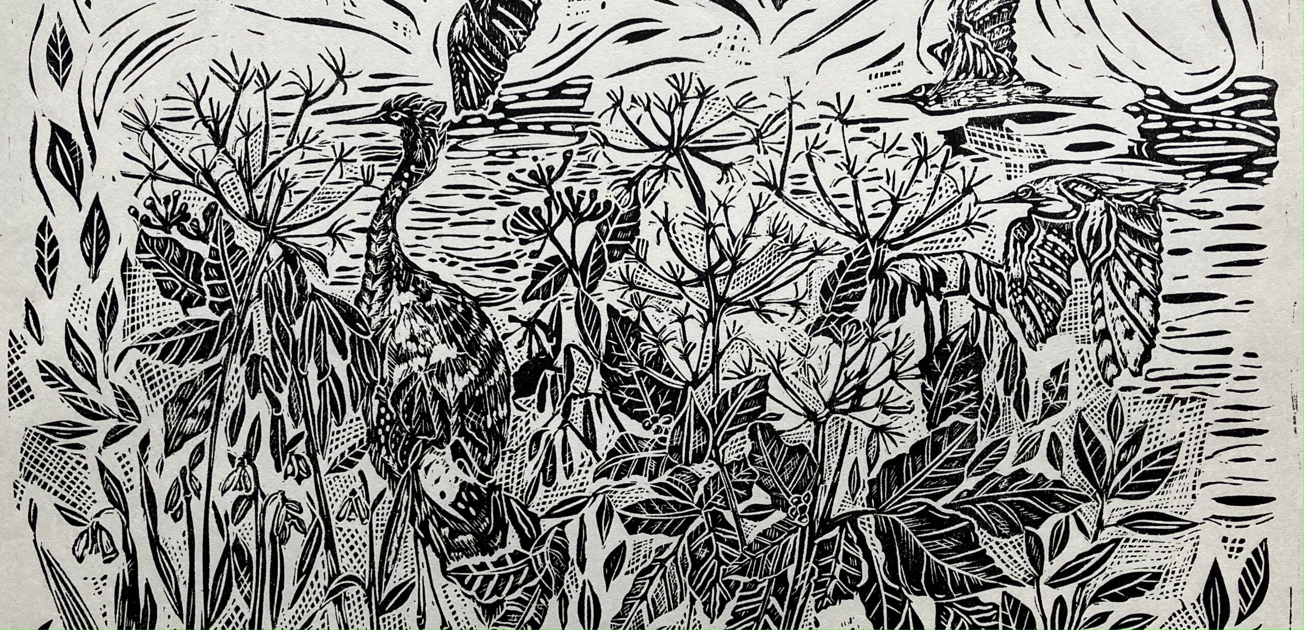 Kate Jacobs Artist/Printmaker