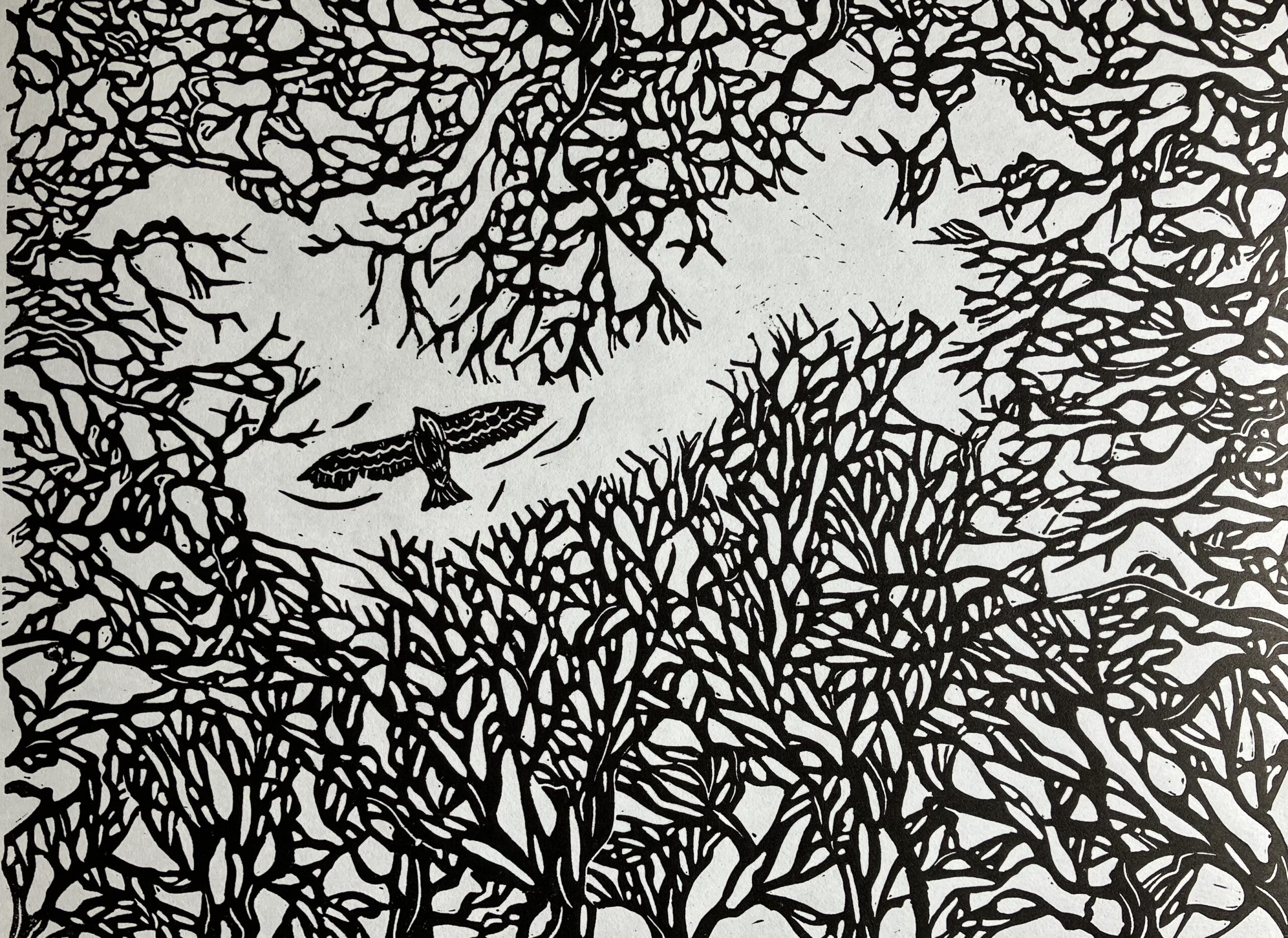 Kate Jacobs Prints & Original Paintings