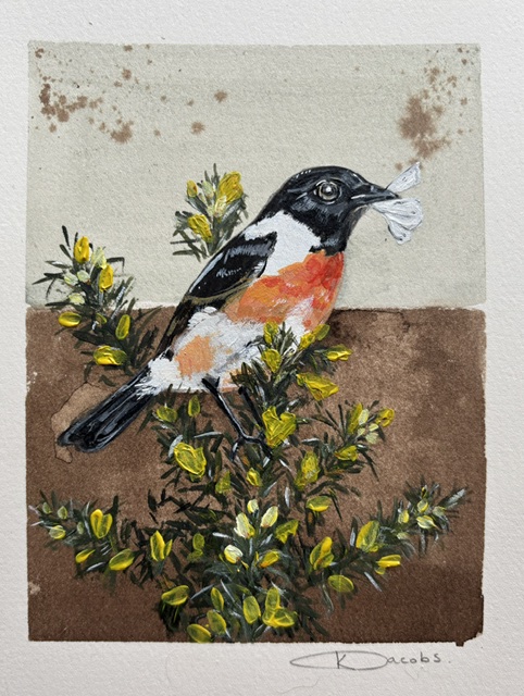 Kate Jacobs Prints & Original Paintings